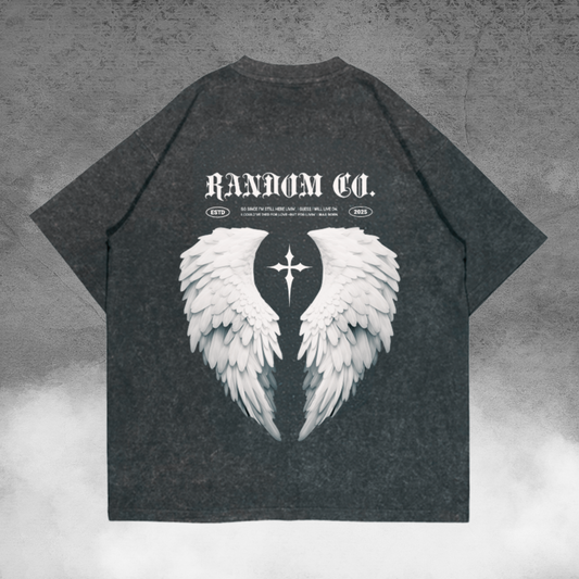 CAMISETA OVERSIZE RANDOM WINGS